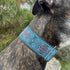 Martingale Dog Collar and Leash Set 2" Wide for Greyhound Saluki Whippet and Similar Breeds (11"-14")