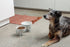 Waggo Simple Solid Dog Bowl with Iron Stand, Single Ceramic Feeder or Water Bowl for Small or Large Dogs (Small,