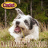 Cadet Premium Grade Munchy Beef Hide Sticks, 5 Inch, 100 Pack
