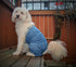 Original Dog Pants - E-Collar Alternative for Medium Dogs, Blue