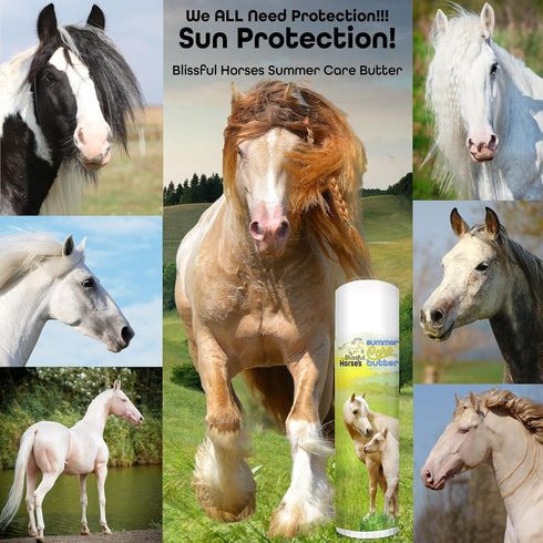Summer 2 oz. The Blissful Horses Care Sun Butter, Gentle Horse Sunscreen, Easy-to-Apply Equine Sunblock Solution