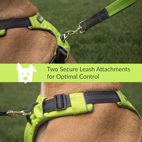 Tuff Mutt Dog Harness for Medium & Large Breeds, Easy On Easy Off with No Pull Front Chest Clip