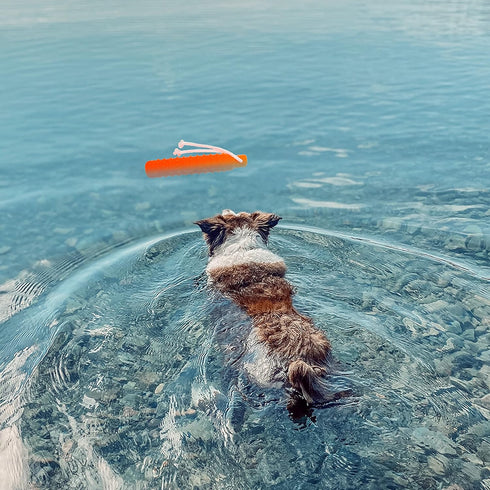 Dog Water Toy, Interactive Fetch Toys Float for Training, Outdoor Fun for Small Medium Large Dogs