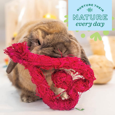 Chinchilla, 1 Count Oxbow Enriched Life Celebration Heart, Rabbit & Guinea Pig Toy, Small Animal Enrichment Chew Toy