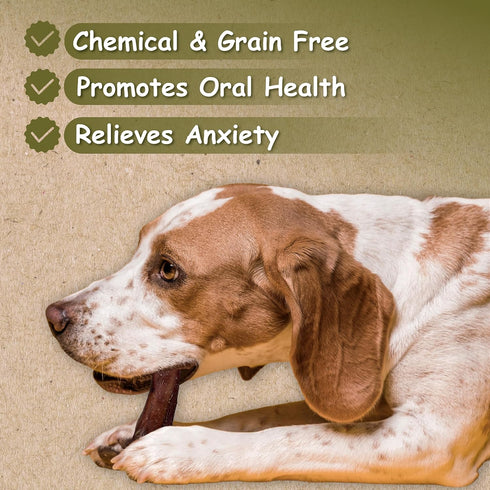 6" 12" (10 Pack), 100% (6 Inch (Pack 10), 6 Inch (Pack 10)) Top Dog Chews - & Braided Bully Sticks Natural Beef Pizzle