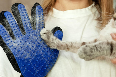 PAIR of Low-Cost Pet Grooming Gloves, Ideal for Grooming, Deshedding, Bathing & Massaging Dogs & Cats, Blue