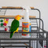 (32oz Pack 1) Absolutely Clean Amazing Bird Cage Cleaner and Deodorizer - Just Spray/Wipe - Safely & Easily Removes
