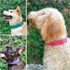 Tuff Pupper Classic Heavy Duty Dog Collar, 10x Stronger Than Leather, 100% Waterproof, Medium (15-19" Neck)