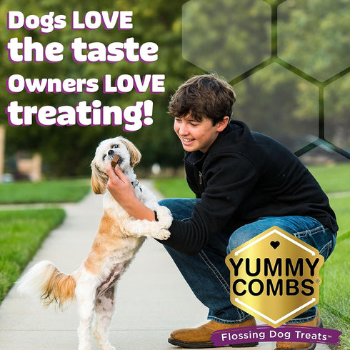 Yummy (24oz, 42 Count) Combs Dog Dental Treats Vet VOHC Approved Delicious Chicken Protein Removes Tartar with Cleaning