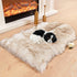 Faux Fur Dog Bed Rug, Plush and Fluffy Dog Mat, Luxury Soft Faux Sheepskin Cover, 24 by 36 inches