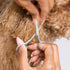 Tweezerman Dog and Cat Stainless Steel Safety Tip Grooming Scissors
