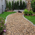 5 lbs Aquarium Gravel, 2-4mm Fish Tank Gravel, Succulent Cactus Pea Gravel for Indoor Plants