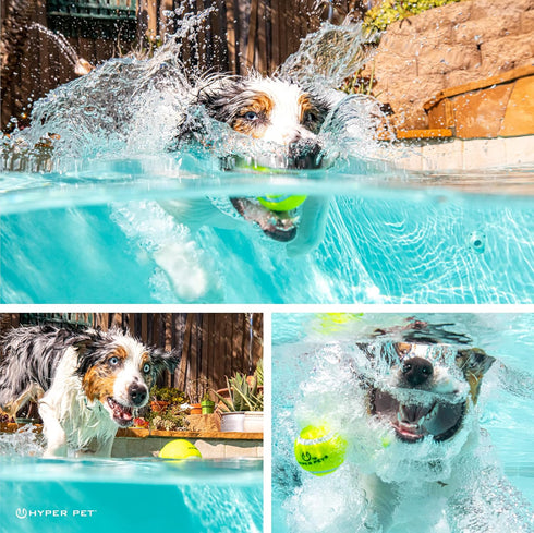 Hyper Pet Tennis Balls for Dogs, 12 Pack 2.5" for Fetch and Exercise, Great for Small Breeds