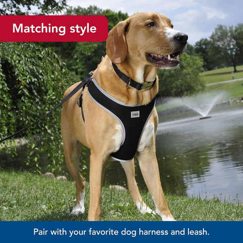 Coastal Pet Adjustable Dog Collar with Metal Buckle, Comfortable Fade-Resistant Collar for Walking & Tie Outs, Black,