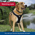 Coastal Pet Adjustable Dog Collar with Metal Buckle, Comfortable Fade-Resistant Collar for Walking & Tie Outs, Black,