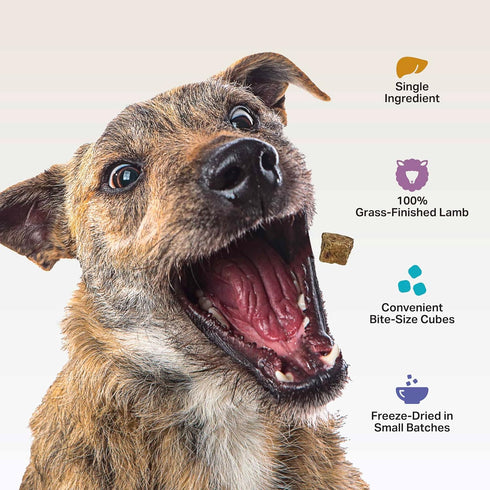 4 Oz FOUR LEAF ROVER Beef Heart Dog Treats - Grass Finished New Zealand Beef Heart - Raw Freeze Dried Single