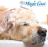 Four Paws Magic Coat Dog Shampoos - Dog Grooming Supplies Made in USA
