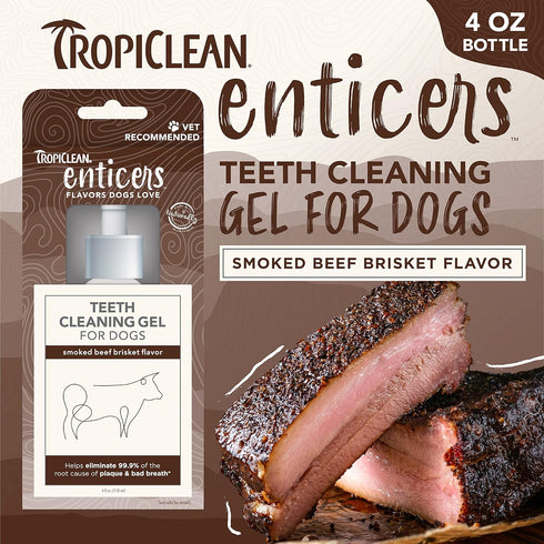 TropiClean Enticers Dog Teeth Cleaning Treat Gel | Smoked Beef Flavored Dog Toothpaste Alternative | 4 oz.