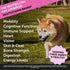 Senior Dog Multivitamin - Essential Vitamins and Supplements for Dogs Health & Heart - Duck 90 ct