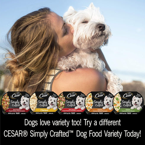 CESAR SIMPLY CRAFTED Adult Soft Wet Dog Food Meal Topper, Beef, Chicken, Purple Potatoes, 10 Tubs, 1.3 oz
