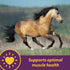 3 lbs., 96 Farnam Horse Health Vita E & Selenium Crumbles Horse Vitamin Supplement, Supports optimal muscle health