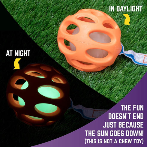 Chew King Ball Launcher with 2.5" Balls, 3" Balls, Medley 3pk/2.75", and Float and Glow Flyers