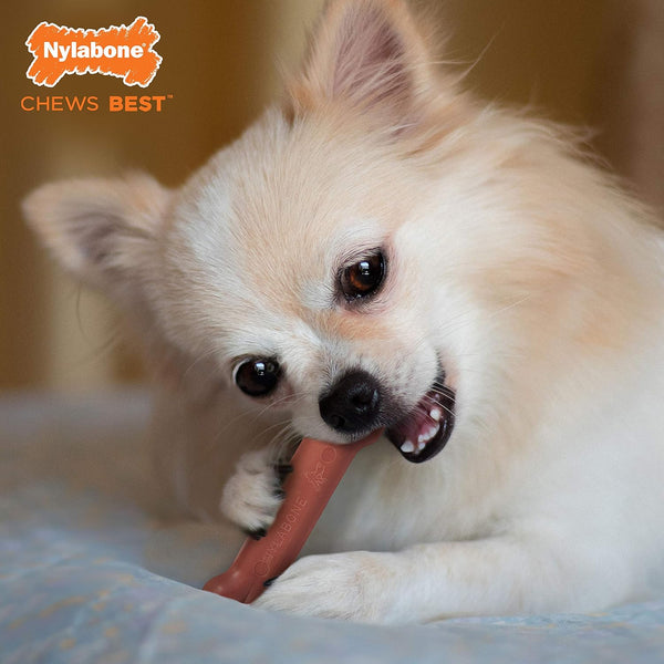 Nylabone Power Chew Classic Bone Chew Toy for Dogs, Bacon Flavor, X-Small/Petite - Up to 15 lbs. (1 Count)