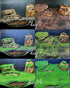 2 Pack Aquarium Small Leaf Grass, Creates Lush Green Carpet for Fish Tanks