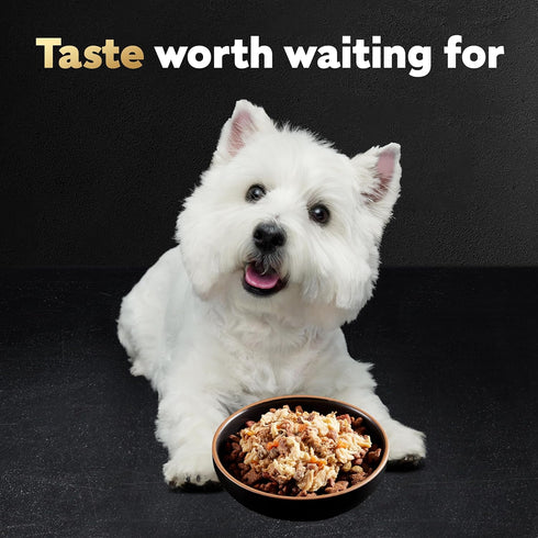 CESAR WHOLESOME BOWLS Adult Soft Wet Dog Food, Beef, Chicken, Carrots, Barley & Green Beans Recipe, (10) 3 oz. Bowls
