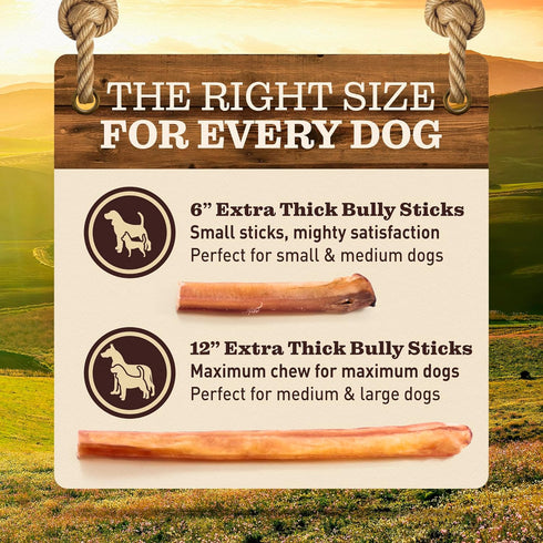 EVER FARM (6", 10 Pack) 100% Pet Odor-Free Extra Thick Jumbo Bully Sticks for Large Dogs All-Natural, Long-Lasting Dog