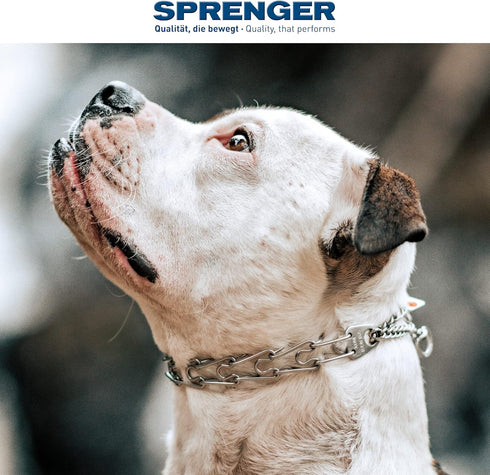 Herm Sprenger Stainless Steel Dog Collar with Swivel D-Ring, 3 Extra Links, for Small Medium Large Dogs