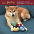 Harry Potter 4 Pack Dog Tennis Balls, Hogwarts Pride Themed Toy Balls for Dogs
