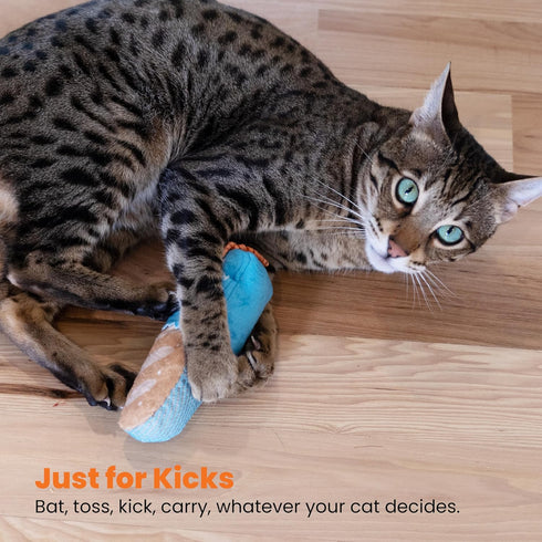 Catstages Loaf Kicker Toy with Catnip and Dental Mesh, Bread Shape, Plush and Ribbon Cat Toy for Kicking, Tossing