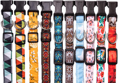 Dog Collar for Small Medium & Large Dogs - Designer Patterns on Adjustable, Strong and Durable Floral Collar