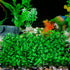 SLSON Aquarium Decorations - Artificial Plastic Grass Lawn 9 inches for Fish Tank Decoration