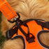 Nylon Dog Leash with Locking Carabiner, Heavy Duty Reflective Lead with Padded Handle for Walking, Orange, 4'