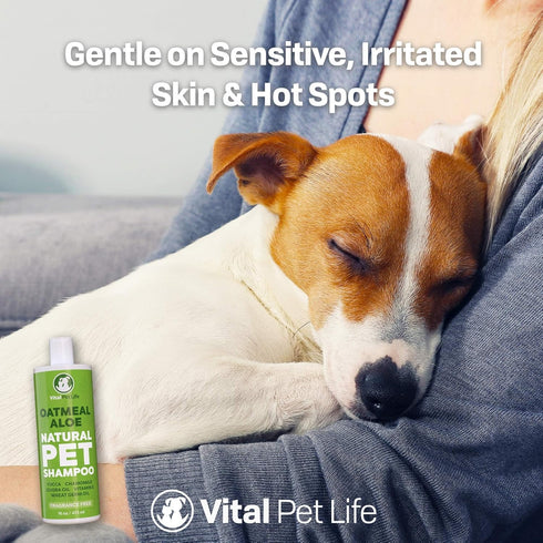 16 oz Dog Shampoo with Oatmeal, Aloe Vera, Chamomile, Jojoba Oil, Vitamin E - Natural Ingredients, Helps Allergies Dry