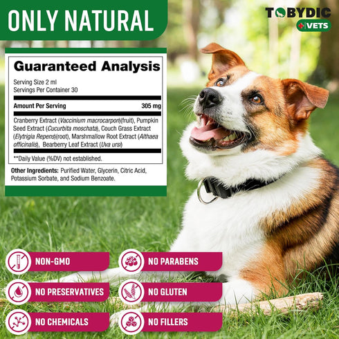 Cat & Dog Natural UTI Medicine with Cranberry - Urinary Tract Infection Treatment - Kidney + Bladder Support Supplement