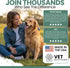 60 Chew + Heal Labs Glucosamine for Dogs Hip and Joint Supplement - Senior Dogs Mobility Soft Chews - Made