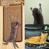 4 Pcs Sisal Cat Scratcher Mat, 15.7x7.8 In Scratch Pad with Adhesive Loop Tape for Protecting Wall Couch Window