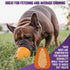 Chew King Premium Treat Dog Toy, Durable Natural Rubber, Bacon Flavored, Large, Orange