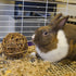 Ware Manufacturing 4-Inch Willow Branch Ball for Small Animals
