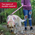 Coastal Pet Double-Ply Dog Leash - Pink Bright, 1" x 6' with Bolt Snap Attachment