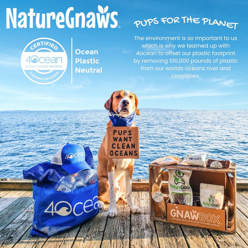 Nature Gnaws USA Turkey Tendon Rings for Dogs, 8oz - Premium Natural Grain Free Chew Treats for All Breeds