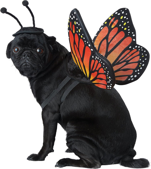 CALIFORNIA COSTUME COLLECTIONS Pet MONARCH BUTTERFLY Dog Costumes, Black/Orange, XS Neck 10-12
