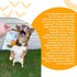 I and love and you Good Golly Gullet Stix - Beef - Rawhide Alternative, Single Ingredient, Free Range Grass Fed Beef,