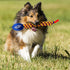 Nerf Dog 25in Rainbow Vortex Chain Tug Toy, Blue/Green/Orange/Red