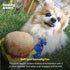 Huxley & Kent Plush Dog Toy - Hamburger, Large, Cute, Funny & Tough with Squeaker for Small & Large Dogs