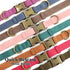 Didog Soft Leather Dog Collar, Adjustable Heavy Duty Collar with Quick Release Metal Buckle for Small Dogs, Green, S