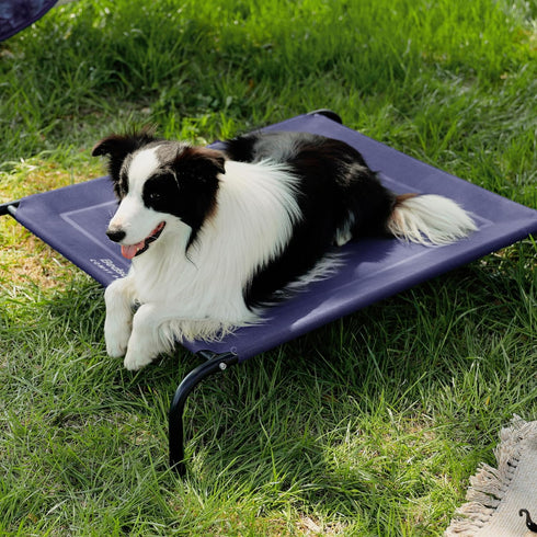 Bedsure Elevated Cooling Cots Bed for Large Dogs, Portable Indoor & Outdoor Hammock with Skid-Resistant Feet, 49 inches